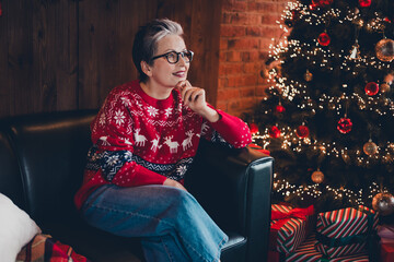 Portrait of positive creative aged lady sitting cozy couch hand touch chin fantasize new year tree illumination flat inside