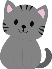 gray cute cat