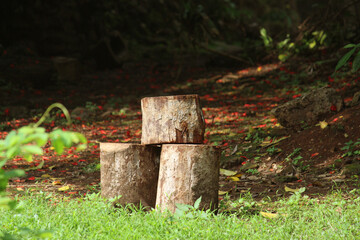 Fototapeta premium three pieces of wood arranged neatly