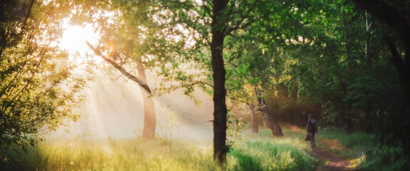 Man walks in park in morning sunlight. Back view on man on sunrise. Sunbeams and lens flare with...