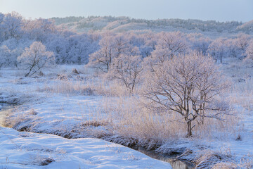 厳冬期の釧路湿原の絶景