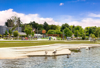 Lake Rotorua, Bay of Plenty, New Zealand - Lakefront Reserve, with children's playground and ducks and geese.