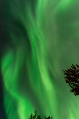Captivating and vibrant, the Northern Lights paint the sky in an ethereal dance of colors. Nature's own celestial ballet, where hues of green, purple, and blue sway and intertwine.