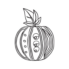 Fruits coloring pages printable drawings for kids vector Black and white color
