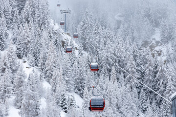Gondola lifts in a Swiss Alps resort and snow-covered fir forest - 687175096