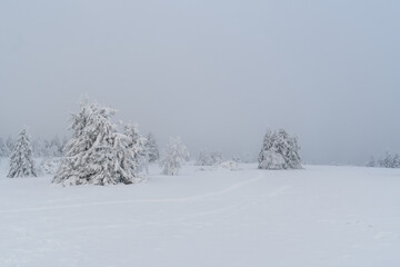 Winter landscape at the mountain called Kahler Asten in the city Winterberg
