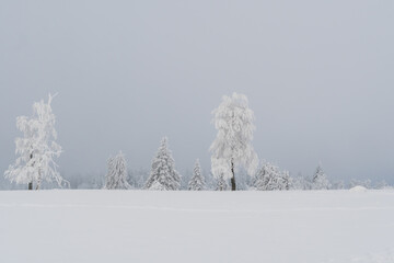 Winter landscape at the mountain called Kahler Asten in the city Winterberg