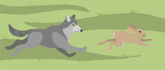 vector drawing wolf catches up with rabbit at green grass, hand drawn animals isolated at white background , cartoon style character
