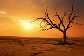 Drought climate and Global warming concept. Dry tree silhouette, dead tree trunk in an arid landscape at sunset