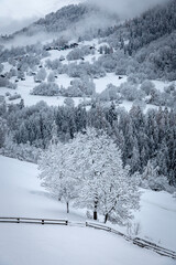 ski resort in winter and an alpine valley covered by snow
