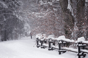 Krajobraz zimowy, szlak górski i zaśnieżone drzewa