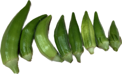 Green Okra vegetable isolated on white background, healthy food a lot of fiber food for digestive system