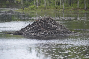 Beaver Lodge, Central Massachusetts