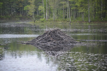 Beaver Lodge, Massachusetts