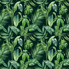 Exotic floral pattern. tropical green plant in summer print. Watercolor tropical palm leaves, jungle seamless pattern 
