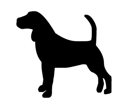 bloodhound dog pet silhouette, animal illustration silhouette, logo, print, decorative sticker