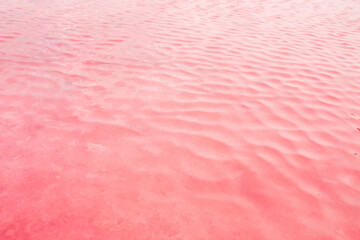 Pink lake - texture of pink salt as a background, unusual nature. A unique rare natural phenomenon....