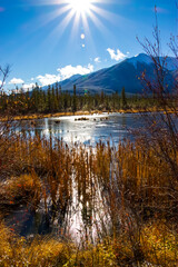 A scenic view of Vermillion Lake with reeds in front on a sunny fall day.