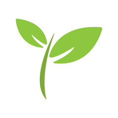 Eco green color leaf logo vector illustration. Leaves icon on white background. Bio plant and tree floral forest concept design.