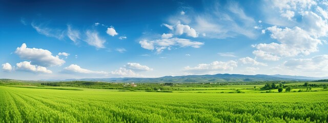 Fototapeta na wymiar Natural scenic panorama green field