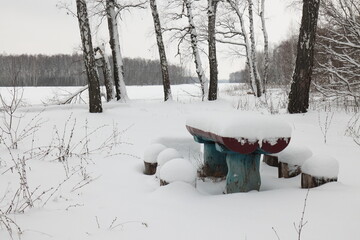 A place to relax on the edge of a birch grove