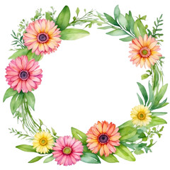 Watercolor illustration colorful transvaal daisy flowers with green vivid leafs border. Creative graphics design.