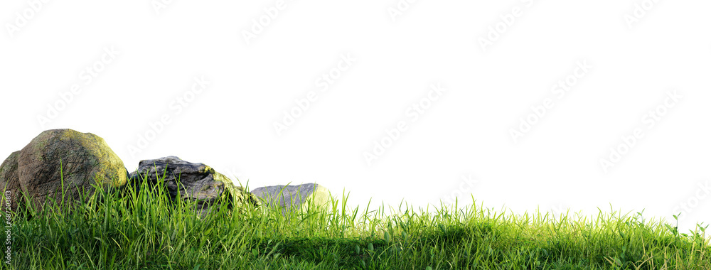 Poster Rock stone with grass fields meadow PNG transparent file, 3d illustration rendering 