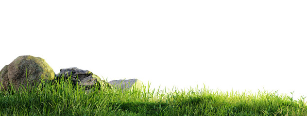 Rock stone with grass fields meadow PNG transparent file, 3d illustration rendering 