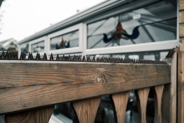 Fototapety na wymiar - Fototapeta24.pl