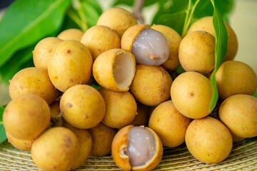 Ripe Pitomba fruits (talisia esculenta), an exotic fruit from the Brazilian tropical forest and bioma cerrado. Ripens in the months of November and December