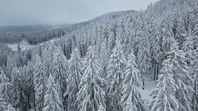 Verschneite Landschaft und Schneekanonen im Winter mit Drohne