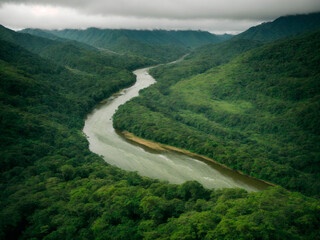 Fototapeta na wymiar Preservando a Vida: O Esplendor de um Rio na Selva da Mata Atlântica