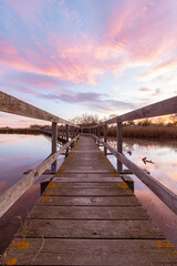 Passerelle de bois à Candillargues au milieu d'un étang en Camargue, sud de la France.