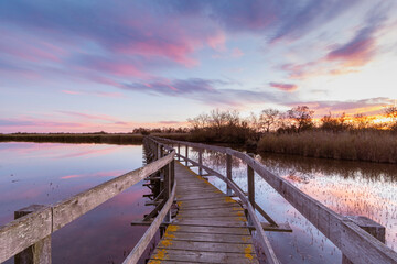 Passerelle de bois à Candillargues au milieu d'un étang en Camargue, sud de la France.