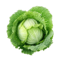 Ripe cabbage with leaves isolated on transparent and white background. PNG transparent