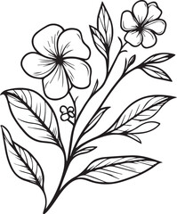 Vector sketch of flowers. periwinkle line drawings, hand-painted madagascar periwinkle wall art, botanical vinca wall art, simple periwinkle drawing, noyontara stock outline drawing, periwinkle flower