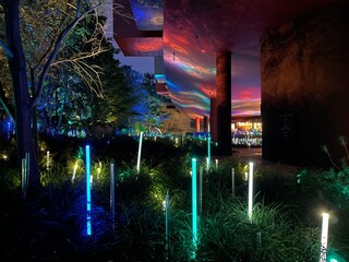 Fototapeta premium Jardins du musée du quai Branly