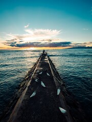 Amidst the breathtaking backdrop of a hawaiian horizon, a flock of vibrant birds gathers on a pier,...