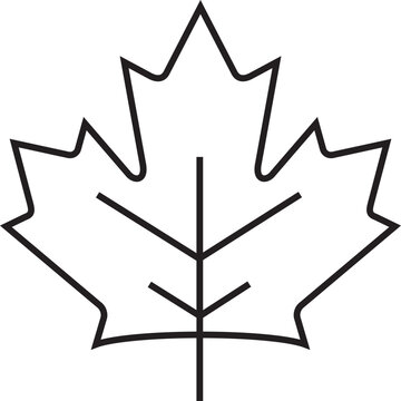 Maple Leaf Icon fall season