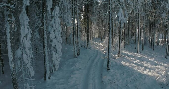 Aerial: Drone Forward Shot Of Snow Covered Tire Tracks In Tranquil Forest - Oberhof, Germany