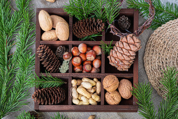 A wooden divided box filled with nuts, cones, and pine branches. Hazelnuts, groundnuts, pine cones,...