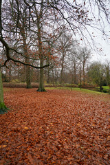 Copenhagen, Denmark - November 19, 2023: Copenhagen Frederiksberg Gardens