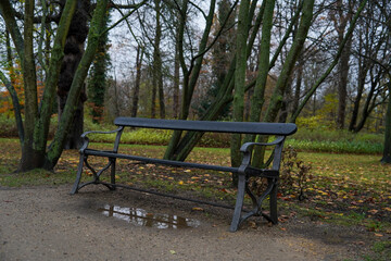 Copenhagen, Denmark - November 19, 2023: Copenhagen Frederiksberg Gardens Park Bench
