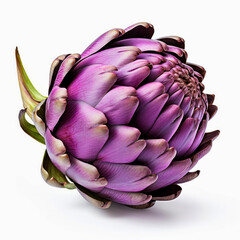 Obraz premium Artichoke purple, Mediterranean cuisine, artwork graphic design, isolated on a white background.