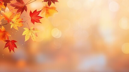Naklejka na ściany i meble Web banner design for autumn season and end year activity with red and yellow maple leaves with soft focus light and bokeh background