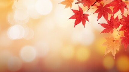 Naklejka na ściany i meble Web banner design for autumn season and end year activity with red and yellow maple leaves with soft focus light and bokeh background