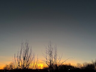 sunset over the field