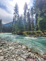 Kumrat river in the Kumrat Forest