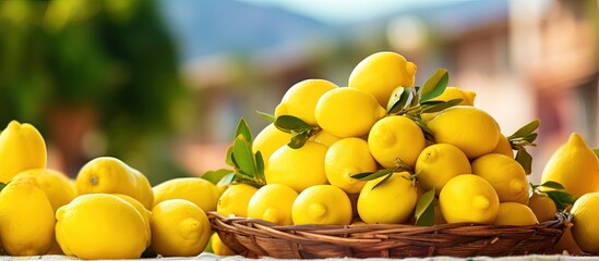 Various types of lemons available at a farmer market in Taormina Sicily Italy Copy space image Place for adding text or design - obrazy, fototapety, plakaty