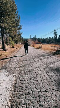walking on the road,woman, walking, nature, park, path, road, walk, forest, summer, person, couple, trees, exercise, child, people, outdoors, tree, jogging, day, dog, hiking, outdoor, autumn, green, a